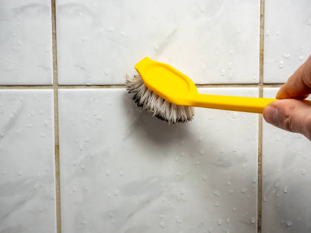 Best Mold Remediation Services  in Mulberry, IN