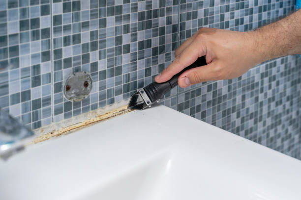 Best Mold Remediation  in Mulberry, IN