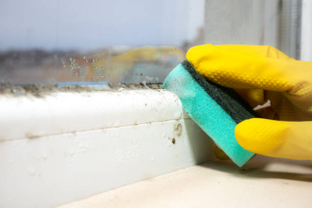 Best Mold Testing  in Mulberry, IN