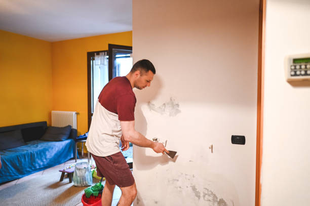 Best Mold Damage Repair  in Mulberry, IN